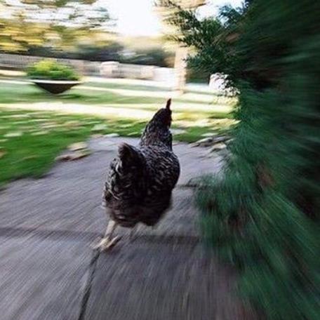 Chrisjoines1 Blank Meme Template