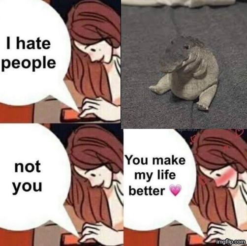 I hate people, not you | image tagged in i hate people not you | made w/ Imgflip meme maker