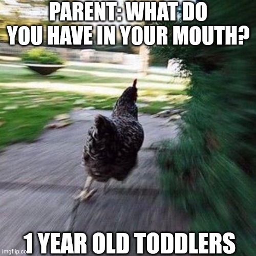 Parent What Do You Have In Your Mouth? | PARENT: WHAT DO YOU HAVE IN YOUR MOUTH? 1 YEAR OLD TODDLERS | image tagged in chrisjoines1 | made w/ Imgflip meme maker