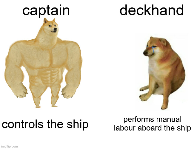 true story | captain; deckhand; controls the ship; performs manual labour aboard the ship | image tagged in memes,buff doge vs cheems | made w/ Imgflip meme maker