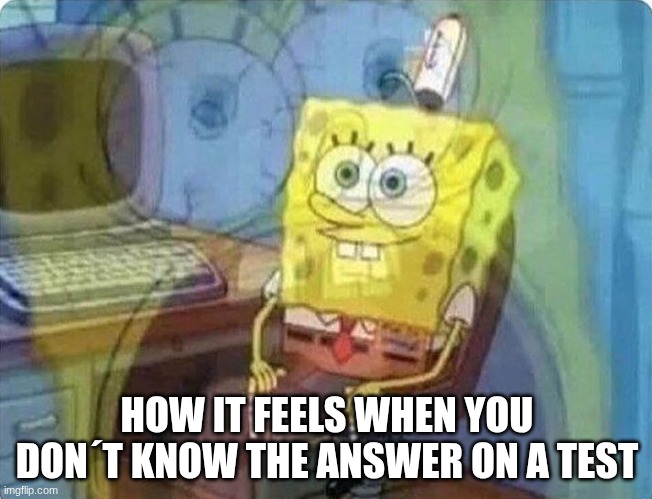 This Is Fine | HOW IT FEELS WHEN YOU DON´T KNOW THE ANSWER ON A TEST | image tagged in spongebob screaming inside,spongebob,school | made w/ Imgflip meme maker