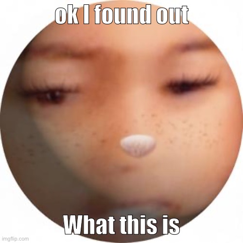 Zolaling Sphere | ok I found out; What this is | image tagged in zolaling sphere | made w/ Imgflip meme maker