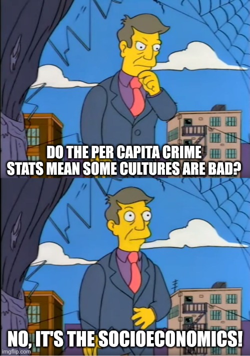 How do they come up with such nonsense? | DO THE PER CAPITA CRIME STATS MEAN SOME CULTURES ARE BAD? NO, IT'S THE SOCIOECONOMICS! | image tagged in skinner out of touch,leftists,culture,crime | made w/ Imgflip meme maker