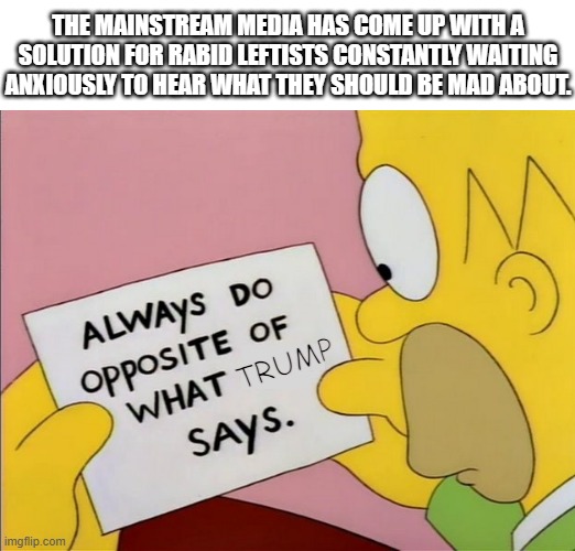 As some might say: "It would be funny if it wasn't painfully accurate." | THE MAINSTREAM MEDIA HAS COME UP WITH A SOLUTION FOR RABID LEFTISTS CONSTANTLY WAITING ANXIOUSLY TO HEAR WHAT THEY SHOULD BE MAD ABOUT. TRUMP | image tagged in always do opposite of what x says,memes,mainstream media,useful idiots,npc | made w/ Imgflip meme maker