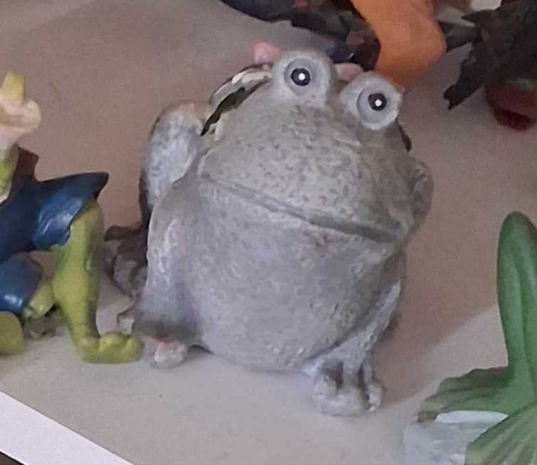 Seen Some Stuff Frog Blank Meme Template