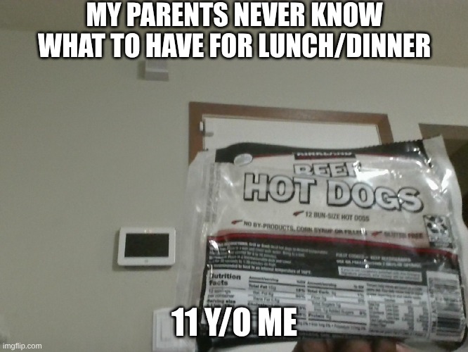 First post! and this is true | MY PARENTS NEVER KNOW WHAT TO HAVE FOR LUNCH/DINNER; 11 Y/O ME | image tagged in so true | made w/ Imgflip meme maker
