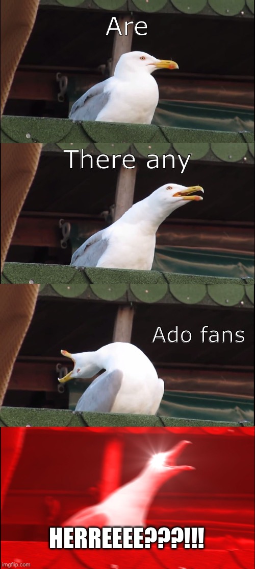Any of you like the queen? | Are; There any; Ado fans; HERREEEE???!!! | image tagged in memes,inhaling seagull,ado | made w/ Imgflip meme maker
