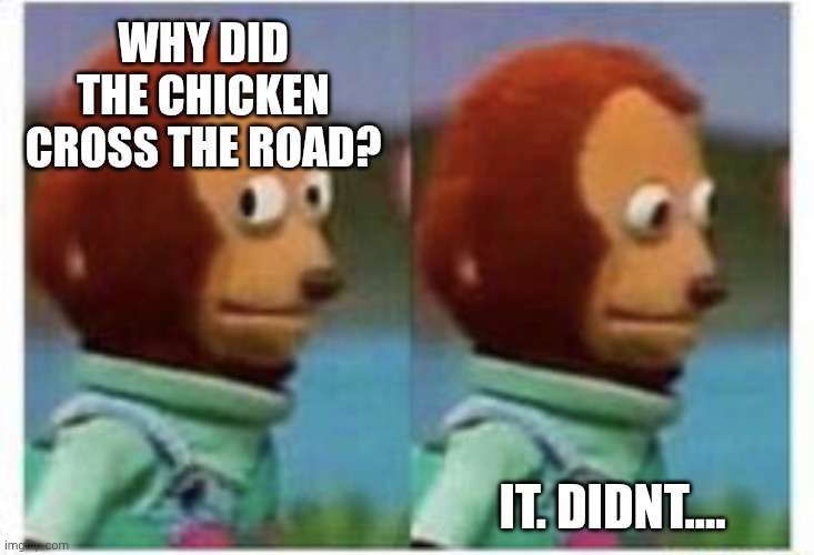 WHY DID THE CHICKEN CROSS THE ROAD? IT. DIDNT.... | image tagged in side eye teddy | made w/ Imgflip meme maker