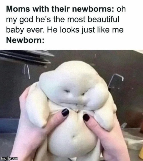 Pillsbury Doughboy lookin ahh newborn | image tagged in dough,newborn,baby,repost,reposts,memes | made w/ Imgflip meme maker