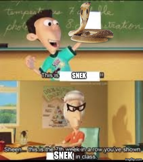 I have snake bias | SNEK; SNEK | image tagged in x this is the 7th week in a row you showed y in class | made w/ Imgflip meme maker