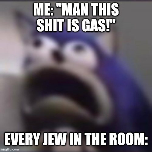 distress | ME: "MAN THIS SHIT IS GAS!"; EVERY JEW IN THE ROOM: | image tagged in distress | made w/ Imgflip meme maker
