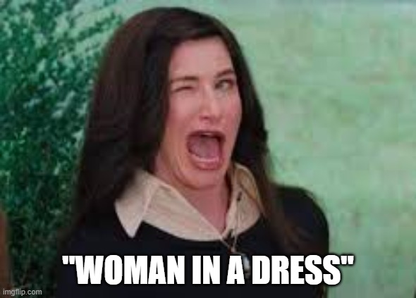 Agatha Harkness wink | "WOMAN IN A DRESS" | image tagged in agatha harkness wink | made w/ Imgflip meme maker