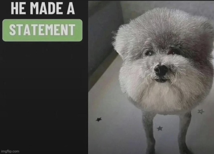 He made a statement blank | image tagged in he made a statement blank | made w/ Imgflip meme maker