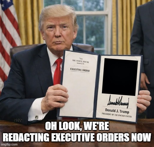 Redacted | OH LOOK, WE'RE REDACTING EXECUTIVE ORDERS NOW | image tagged in politics | made w/ Imgflip meme maker