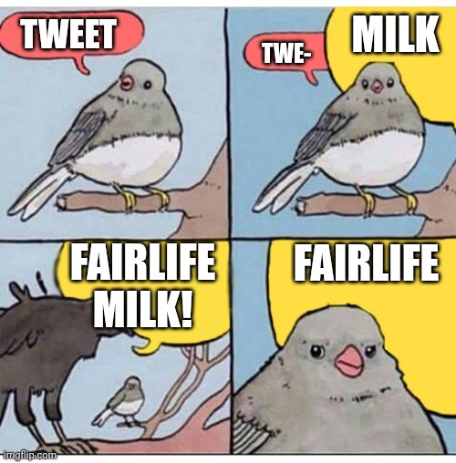 annoyed bird | MILK; TWEET; TWE-; FAIRLIFE MILK! FAIRLIFE | image tagged in annoyed bird | made w/ Imgflip meme maker