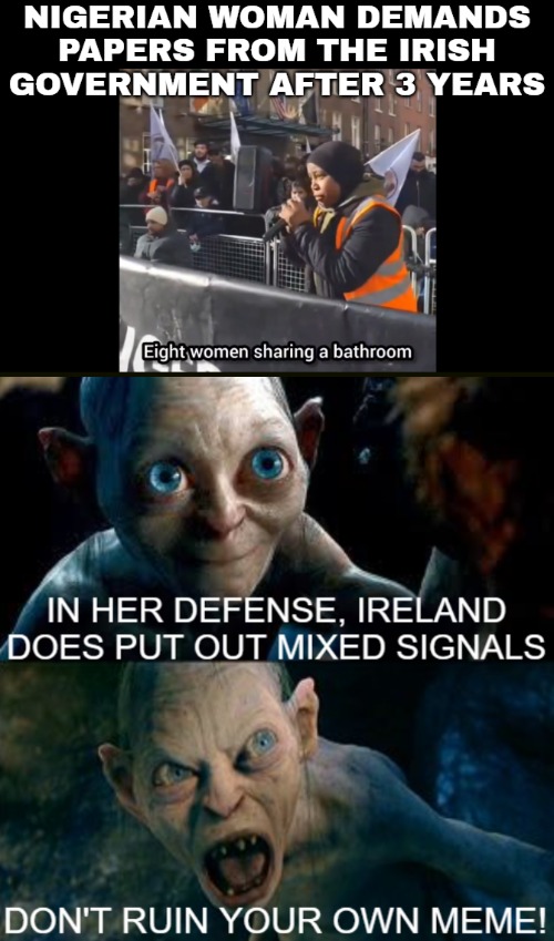 I was about to make it a "Woman fails to take the hint"... until an intrusive thought occurred. Just going with it | image tagged in gollum,immigrants,europe,funny,politics | made w/ Imgflip meme maker