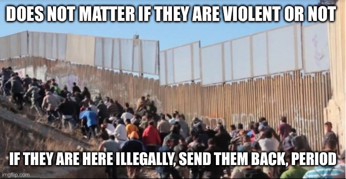 Illegal Immigrants | DOES NOT MATTER IF THEY ARE VIOLENT OR NOT; IF THEY ARE HERE ILLEGALLY, SEND THEM BACK, PERIOD | image tagged in illegal immigrants | made w/ Imgflip meme maker