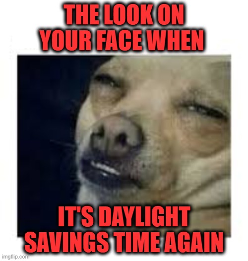 Daylight Savings Time | THE LOOK ON YOUR FACE WHEN; IT'S DAYLIGHT SAVINGS TIME AGAIN | image tagged in the look,daylight savings time | made w/ Imgflip meme maker