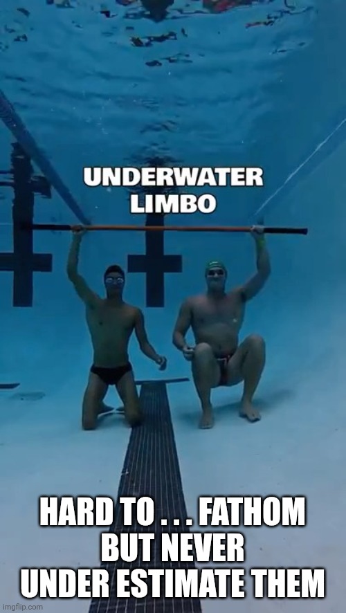 Underwater limbo | HARD TO . . . FATHOM
BUT NEVER UNDER ESTIMATE THEM | image tagged in underwater limbo | made w/ Imgflip meme maker