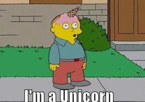 I'm a Unicorn Blank Meme Template