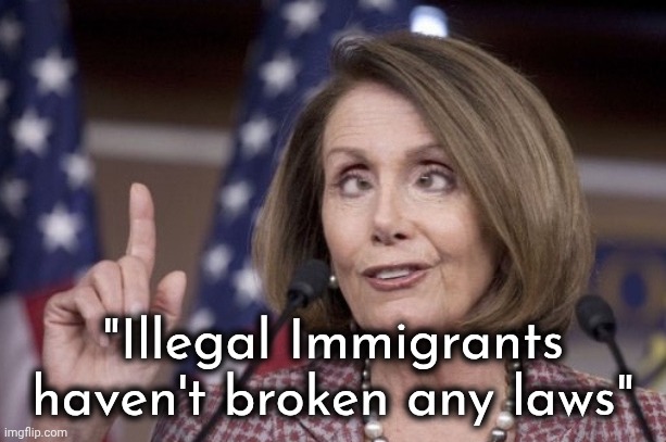 Nancy pelosi | "Illegal Immigrants haven't broken any laws" | image tagged in nancy pelosi | made w/ Imgflip meme maker