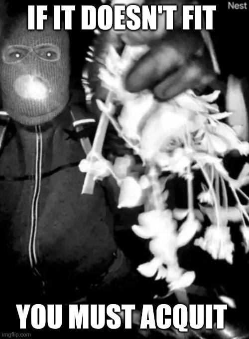 Guthrie | IF IT DOESN'T FIT; YOU MUST ACQUIT | image tagged in funny | made w/ Imgflip meme maker