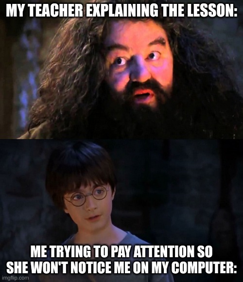 You are wizzard harry | MY TEACHER EXPLAINING THE LESSON:; ME TRYING TO PAY ATTENTION SO SHE WON'T NOTICE ME ON MY COMPUTER: | image tagged in you are wizzard harry | made w/ Imgflip meme maker
