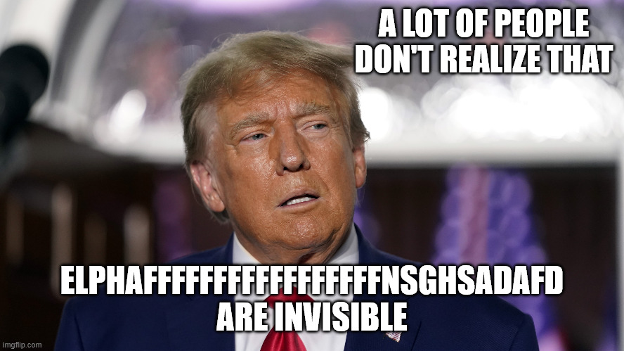 Stupid Trump | A LOT OF PEOPLE DON'T REALIZE THAT ELPHAFFFFFFFFFFFFFFFFFNSGHSADAFD ARE INVISIBLE | image tagged in stupid trump | made w/ Imgflip meme maker