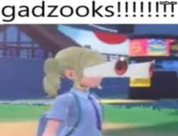 gazooks!!!!!! | image tagged in gazooks | made w/ Imgflip meme maker