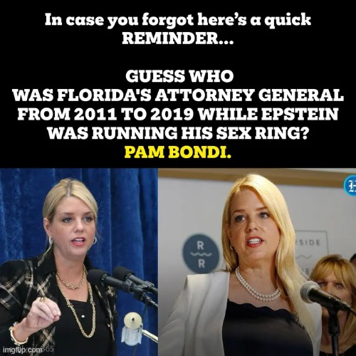 Is anyone surprised by this! | image tagged in doj,republican,rino,epstein,florida,attorney general | made w/ Imgflip meme maker