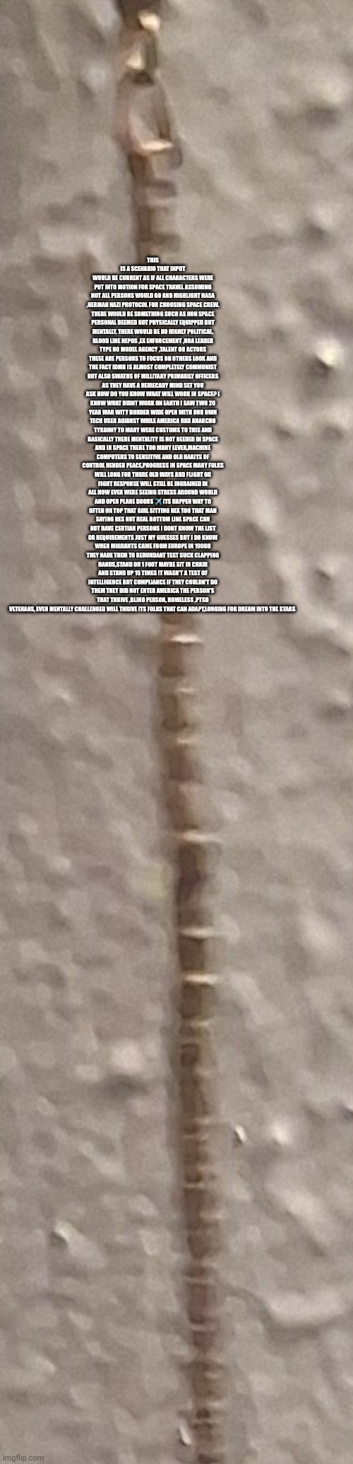 SPACE Who's going ,whos staying and it may suprise you,nasa had it all wrong decoder finds balance | THIS IS A SCENARIO THAT INPUT WOULD BE CURRENT AS IF ALL CHARACTERS WERE PUT INTO MOTION FOR SPACE TRAVEL ASSUMING NOT ALL PERSONS WOULD GO AND HIGHLIGHT NASA ,GERMAN NAZI PROTOCOL FOR CHOOSING SPACE CREW. THERE WOULD BE SOMETHING SUCH AS NON SPACE PERSONAL DEEMED NOT PHYSICALLY EQUIPPED BUT MENTALLY. THERE WOULD BE NO HIGHLY POLITICAL, BLOOD LINE NEPOS ,EX ENFORCEMENT ,HOA LEADER TYPE NO MODEL AGENCY ,TALENT OR ACTORS THESE ARE PERSONS TO FOCUS ON OTHERS LOOK AND THE FACT IDMB IS ALMOST COMPLETELY COMMUNIST BUT ALSO SWATHS OF MILLITARY PRIMARILY OFFICERS AS THEY HAVE A HEIRECARY MIND SET YOU ASK HOW DO YOU KNOW WHAT WILL WORK IN SPACE? I KNOW WHAT DIDNT WORK ON EARTH I SAW TWO 20 YEAR WAR WITY BORDER WIDE OPEN WITH OUR OWN TECH USER AGIANST WHILE AMERICA HAD ANARCHO TYRANNY TO MANY WERE CUSTOMS TO THIS AND BASICALLY THERE MENTALITY IS NOT NEEDED IN SPACE AND IN SPACE THERE TOO MANY LEVER,MACHINE COMPUTERS TO SENSITIVE AND OLD HABITS OF CONTROL HENDER PEACE,PROGRESS IN SPACE MANY FOLKS WILL LONG FOR THRRE OLD WAYS AND FLIGHT OR FIGHT RESPONSE WILL STILL BE INGRAINED IN ALL HOW EVER WERE SEEING STRESS AROUND WORLD AND OPEN PLANE DOORS ✈️ ITS HAPPEN WAY TO OFTEN ON TOP THAT GIRL SITTING NEX TOO THAT MAN SAYING HES NOT REAL BOTTOM LINE SPACE CAN NOT HAVE CERTIAN PERSONS I DONT KNOW THE LIST OR REQUIREMENTS JUST MY GUESSES BUT I DO KNOW WHEN MIGRANTS CAME FROM EUROPE IN 1900D THEY NADE THEM TO REDUNDANT TEST SUCK CLAPPING HANDS,STAND ON 1 FOOT MAYBE SIT IN CHAIR AND STAND UP 15 TIMES IT WASN'T A TEST OF INTELLIGENCE BUT COMPLIANCE IF THEY COULDN'T DO THEM THEY DID NOT ENTER AMERICA THE PERSON'S THAT THRIVE ,BLIND PERSON, HOMELESS ,PTSD VETERANS, EVEN MENTALLY CHALLENGED WILL THRIVE ITS FOLKS THAT CAN ADAPT,LONGING FOR DREAM INTO THE STARS | made w/ Imgflip meme maker