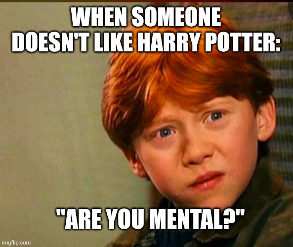 They have disgraced their family | WHEN SOMEONE DOESN'T LIKE HARRY POTTER:; "ARE YOU MENTAL?" | image tagged in mental,ron weasley,movies,movie,harry potter | made w/ Imgflip meme maker
