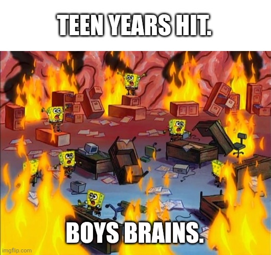 AAAAAAAAAAAAAAAAAAA!!!!!! | TEEN YEARS HIT. BOYS BRAINS. | image tagged in spongebob fire,teen years | made w/ Imgflip meme maker