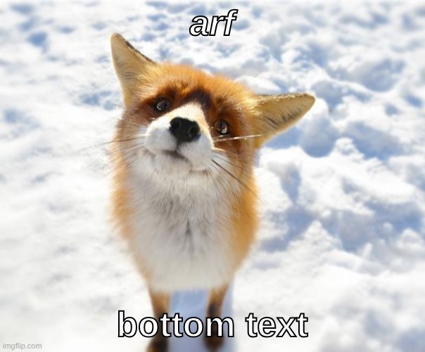 arf bottom text | image tagged in what does the fox say | made w/ Imgflip meme maker