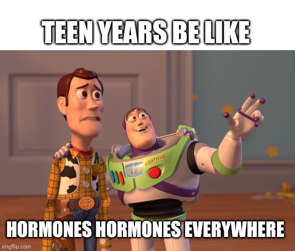 X, X Everywhere Meme | TEEN YEARS BE LIKE; HORMONES HORMONES EVERYWHERE | image tagged in memes,x x everywhere | made w/ Imgflip meme maker