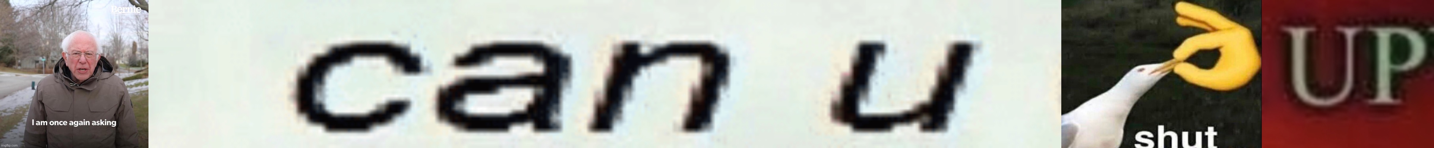 image tagged in bernie i am once again asking for your support,can u dont,shut,beg for forgiveness | made w/ Imgflip meme maker