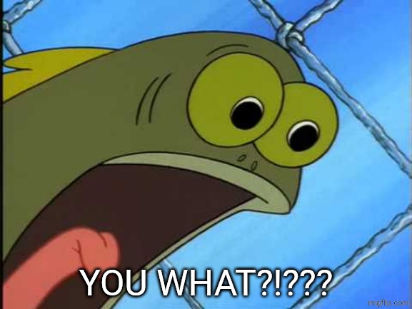 You what?! | YOU WHAT?!??? | image tagged in you what | made w/ Imgflip meme maker
