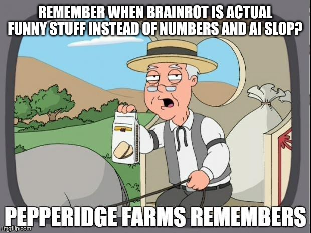 PEPPERIDGE FARMS REMEMBERS | REMEMBER WHEN BRAINROT IS ACTUAL FUNNY STUFF INSTEAD OF NUMBERS AND AI SLOP? | image tagged in memes,brainrot,stuff | made w/ Imgflip meme maker