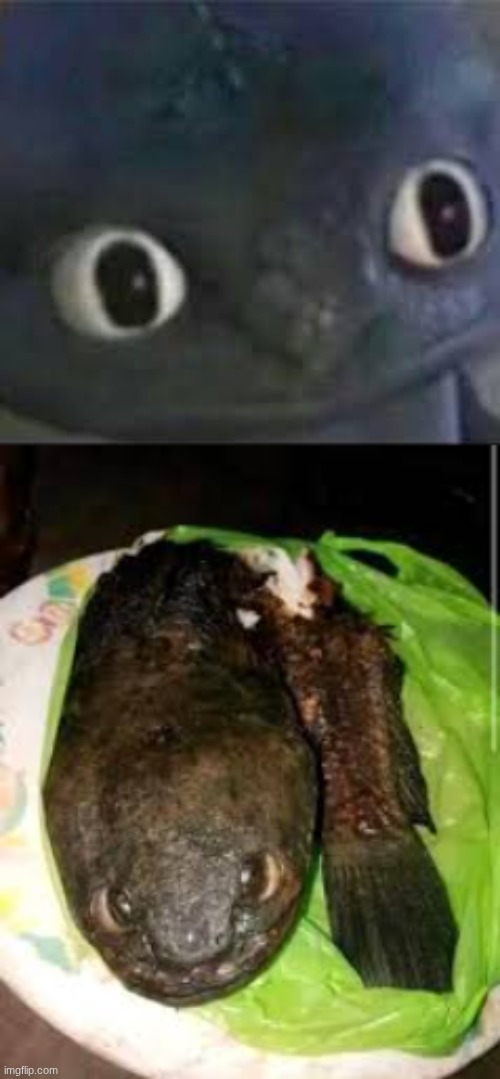 ppft- | image tagged in toothless _ face | made w/ Imgflip meme maker