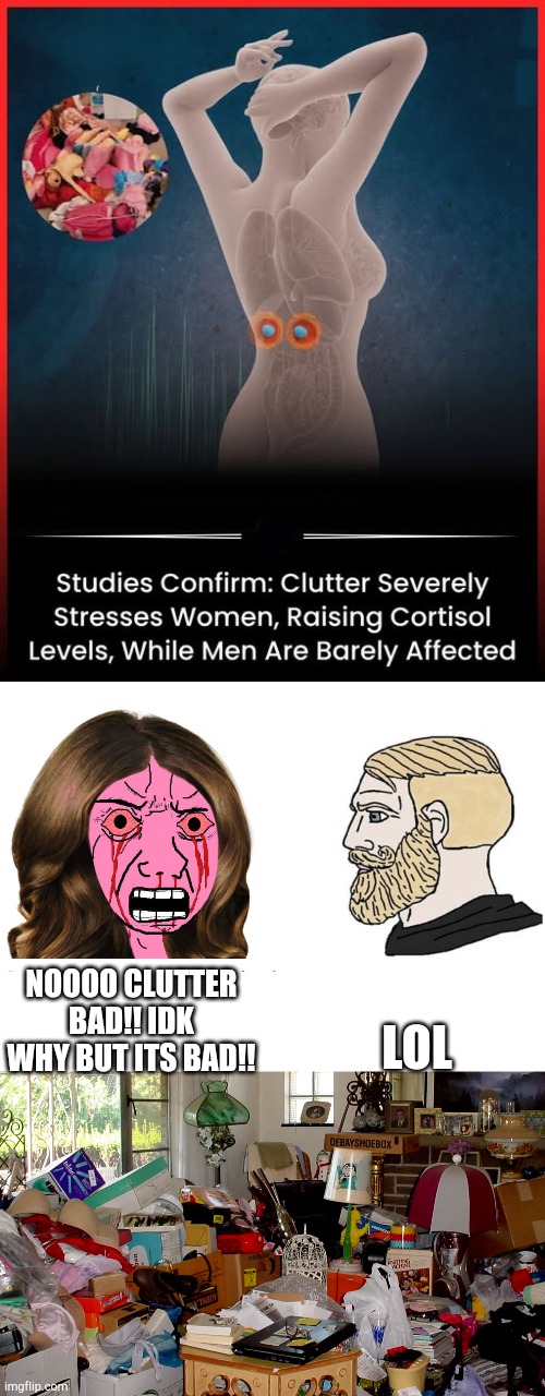 Angry vs calm | LOL; NOOOO CLUTTER BAD!! IDK WHY BUT ITS BAD!! | image tagged in soyboy vs yes chad,cluttered room | made w/ Imgflip meme maker