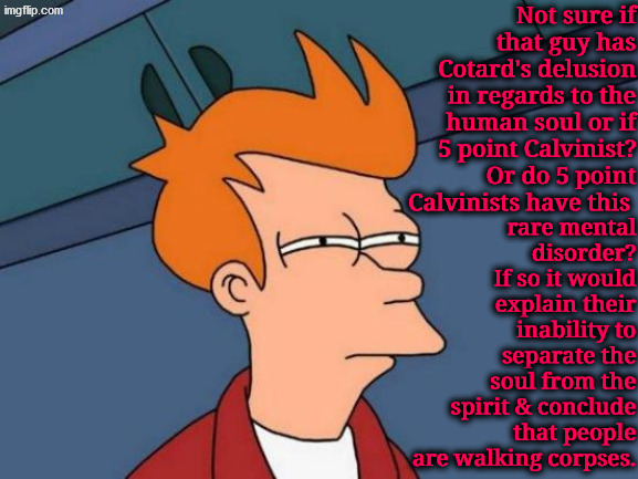 Sounds like Cotard's Delusion | image tagged in calvinism,calvinist memes,anti calvinism,reformed theology,walking dead,delusion | made w/ Imgflip meme maker