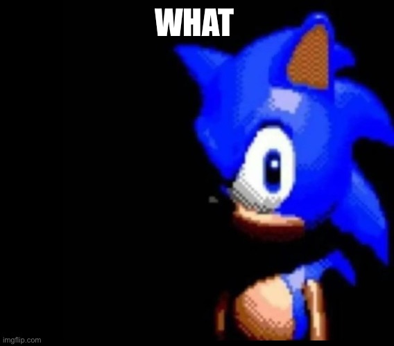 Sonic stares | WHAT | image tagged in sonic stares | made w/ Imgflip meme maker