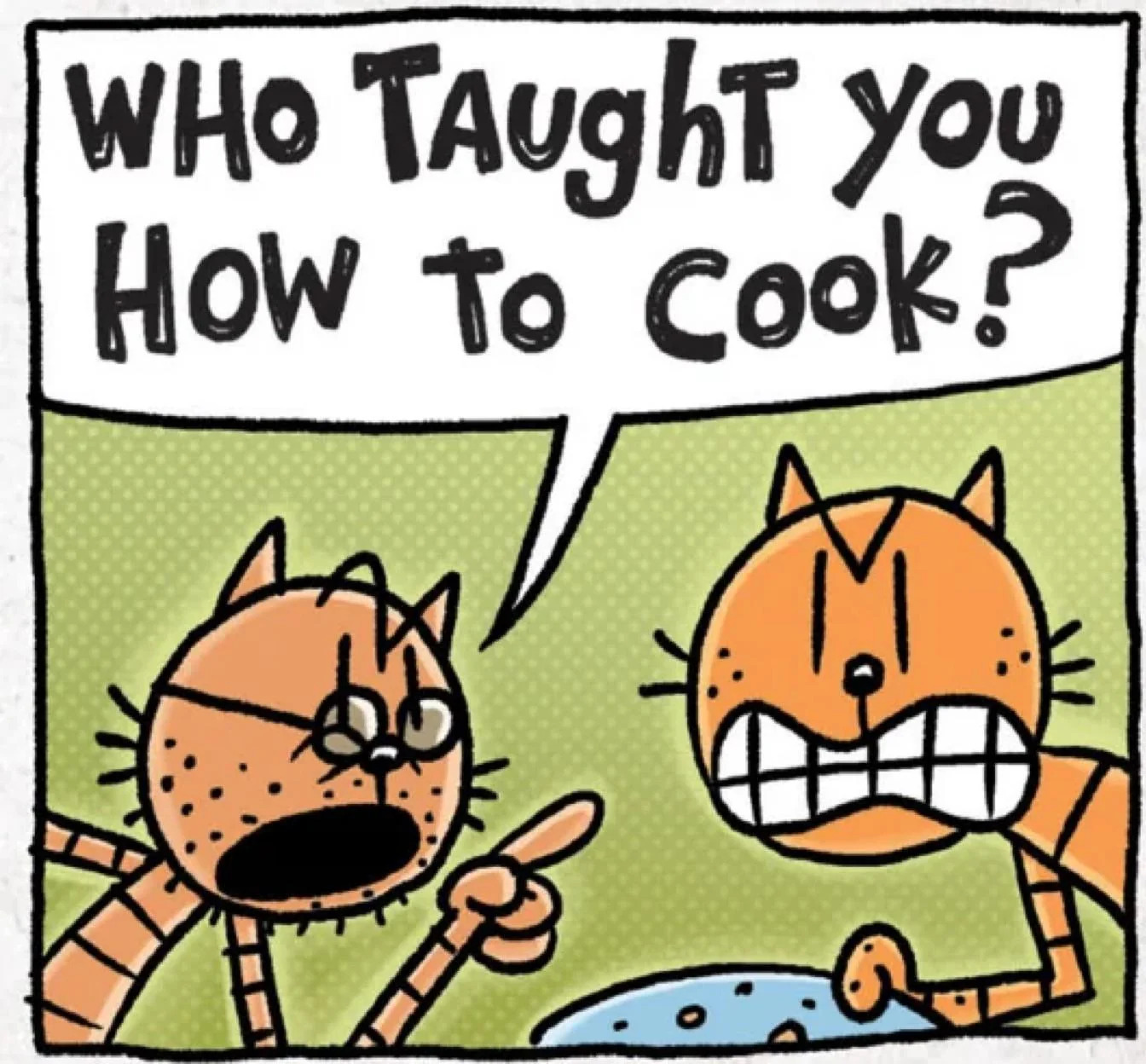 who thought you how to cook? Blank Meme Template