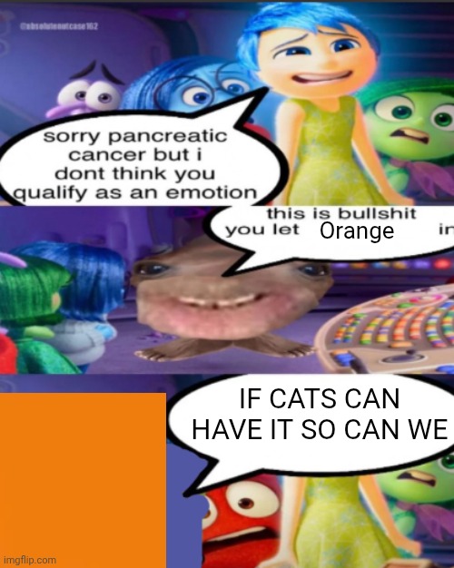 Came up with this in the shower | Orange; IF CATS CAN HAVE IT SO CAN WE | image tagged in sorry pancreatic cancer but i don t think you qualify as an emot | made w/ Imgflip meme maker