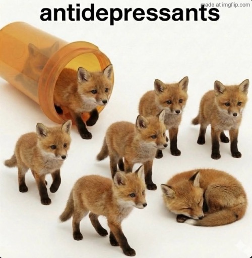 :3 | image tagged in fox antidepressants | made w/ Imgflip meme maker