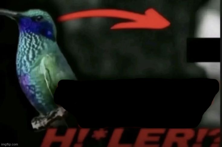 Worse than Hitler!? | image tagged in worse than hitler | made w/ Imgflip meme maker
