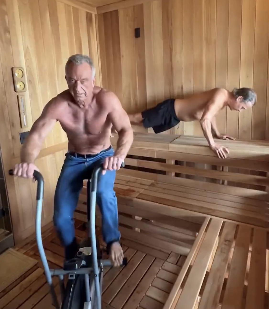 Totally Normal Blank Meme Template