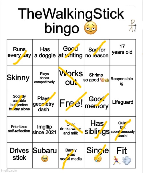 Something random | image tagged in thewalkingstick bingo | made w/ Imgflip meme maker