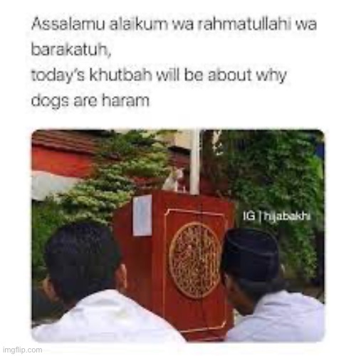 Best cat in the world | image tagged in cat,cats are awesome,funny,memes,ramadan,oh wow are you actually reading these tags | made w/ Imgflip meme maker