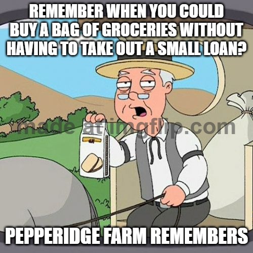 REMEMBER WHEN YOU COULD BUY A BAG OF GROCERIES WITHOUT HAVING TO TAKE OUT A SMALL LOAN? | REMEMBER WHEN YOU COULD BUY A BAG OF GROCERIES WITHOUT HAVING TO TAKE OUT A SMALL LOAN? PEPPERIDGE FARM REMEMBERS | image tagged in memes,pepperidge farm remembers,loan,debt,groceries,inflation | made w/ Imgflip meme maker
